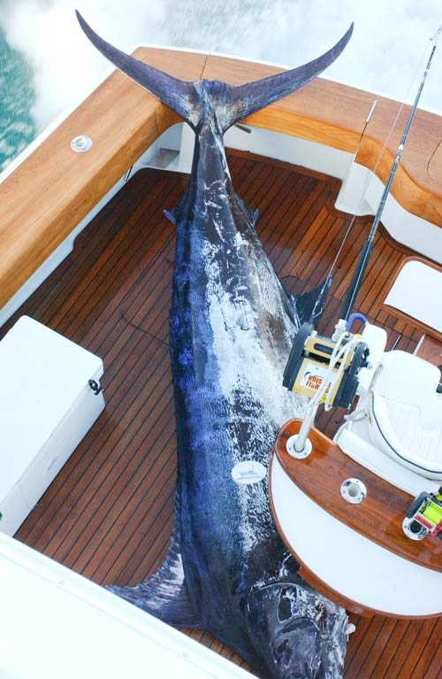 P Line 200 Lb Fishing Line 100 Yds Big Game Fish Marlin Tuna Swordfish Trolling 