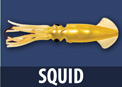 Moldcraft Squid