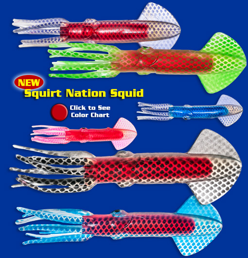 Squirt Nation Squid