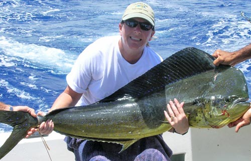 mahi